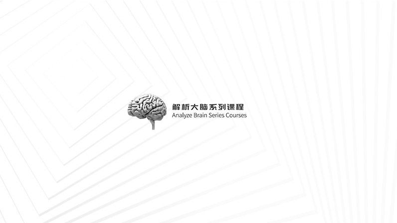 解析大脑